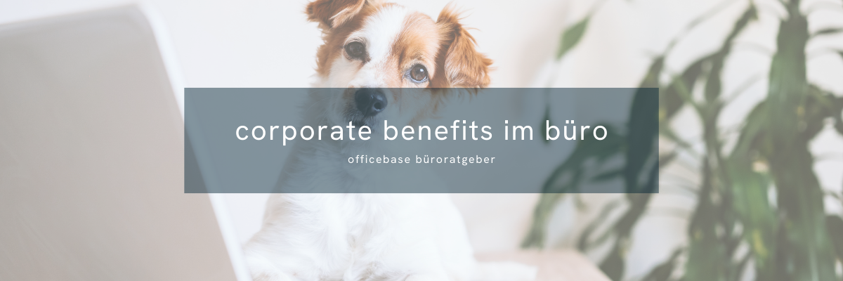 Corporate Benefits im Büro: Mitarbeiter gewinnen & halten