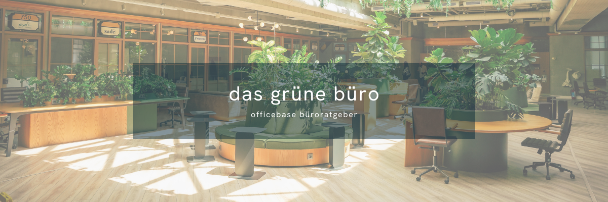 Das grüne Büro: Nachhaltige Büroeinrichtung