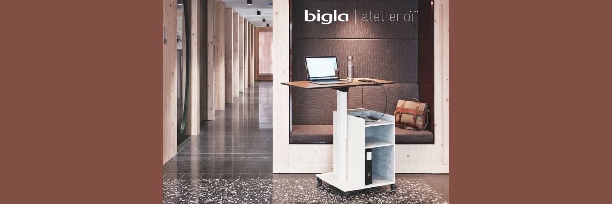 Bigla: Polydesk
