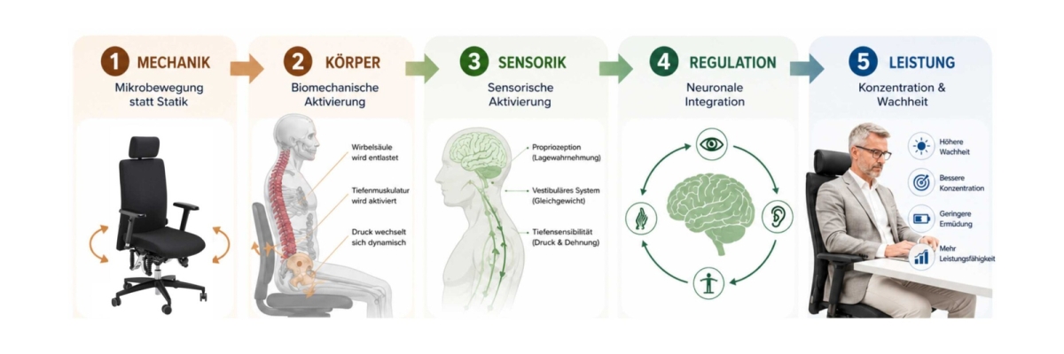 Haider Bioswing: Warum ergonomisches Sitzen oft trotzdem erschöpft