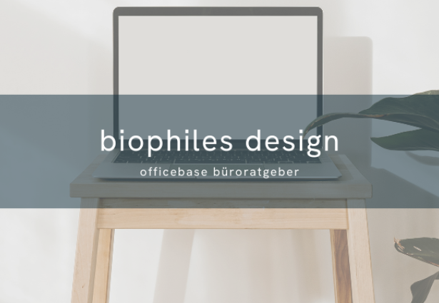 Biophiles Design im Büro