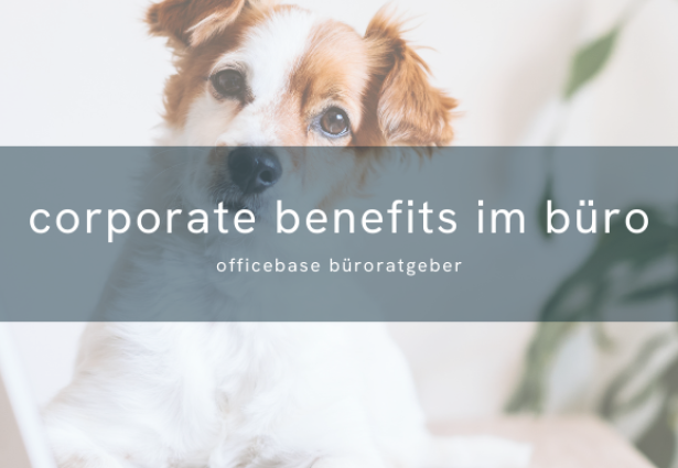 Corporate Benefits im Büro: Mitarbeiter gewinnen & halten