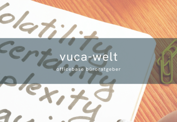 VUCA: Transformatives Management