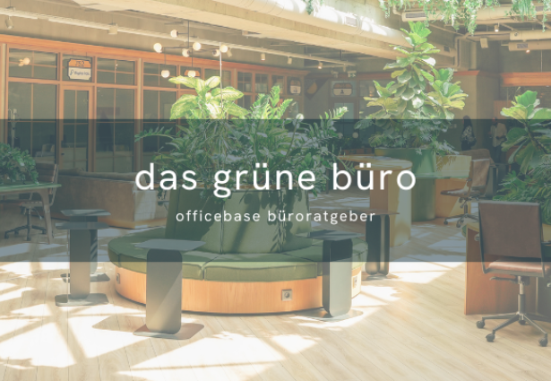 Das grüne Büro: Nachhaltige Büroeinrichtung