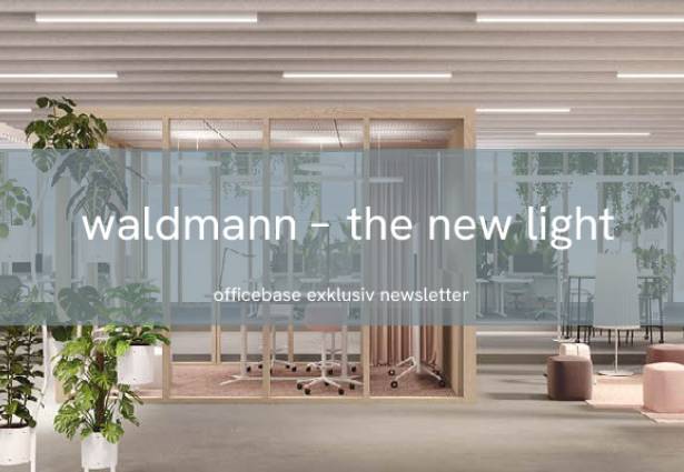 waldmann - the new light