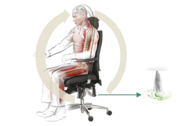 Warum BIOSWING nicht die Haltung korrigiert – sondern das System dahinter verändert