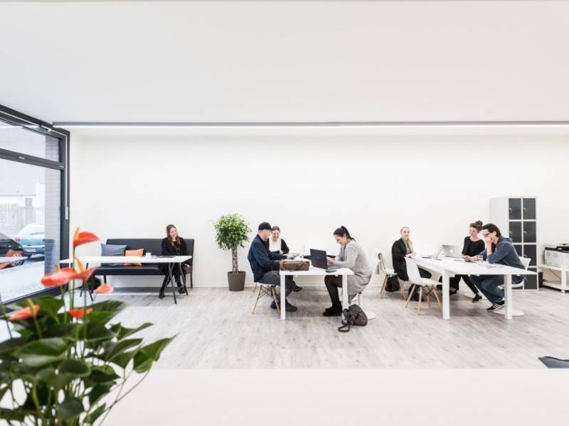 Amapola Coworking 0