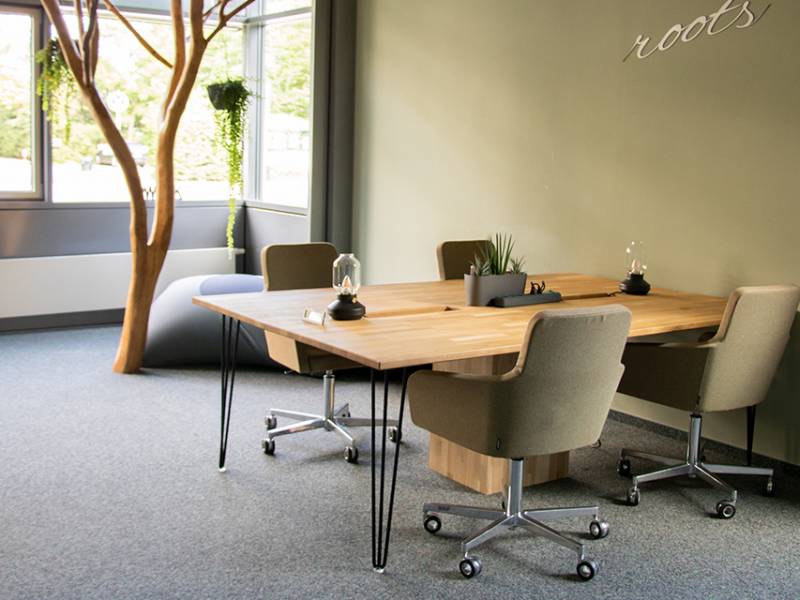 roots-Coworking 0