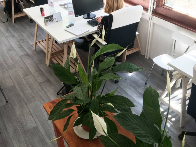 T19 Bi Coworking 0