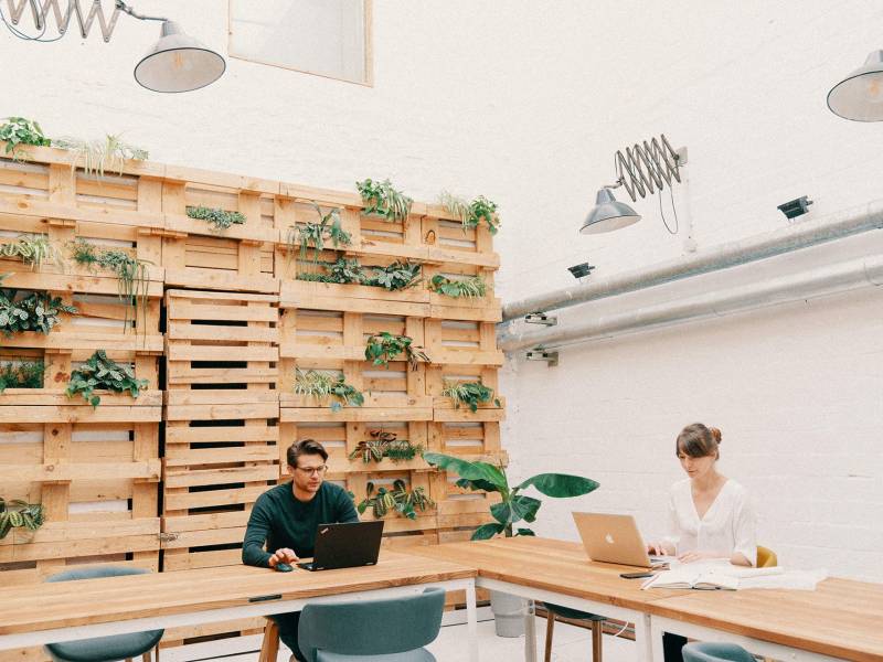 BESPOKE cowork 0
