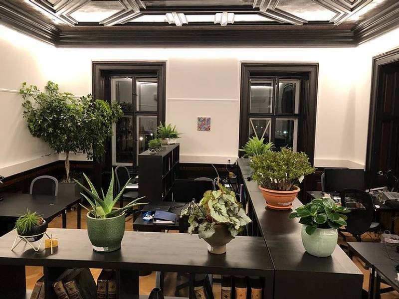 Am Burggarten - Workspace Vienna  0