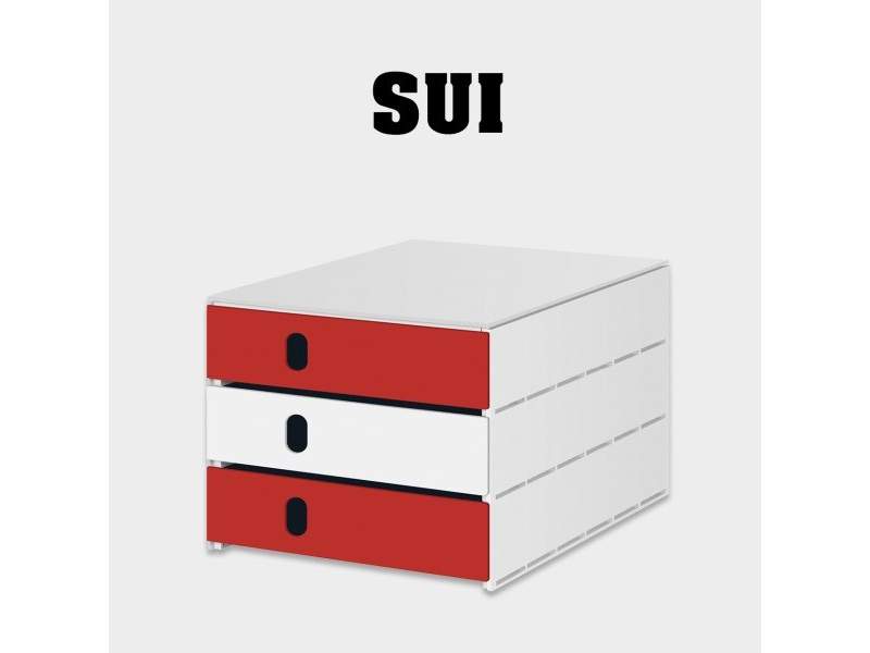 Schubladensysteme Schubladenbox Styro styroval pro Länderbox Schweiz