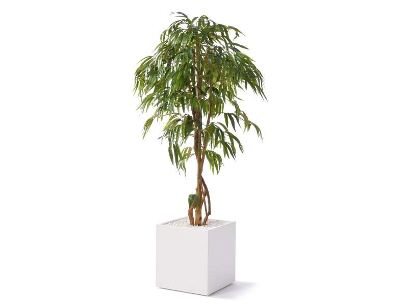 Diverse Accessoires, fm Büromöbel, easy green Ficus