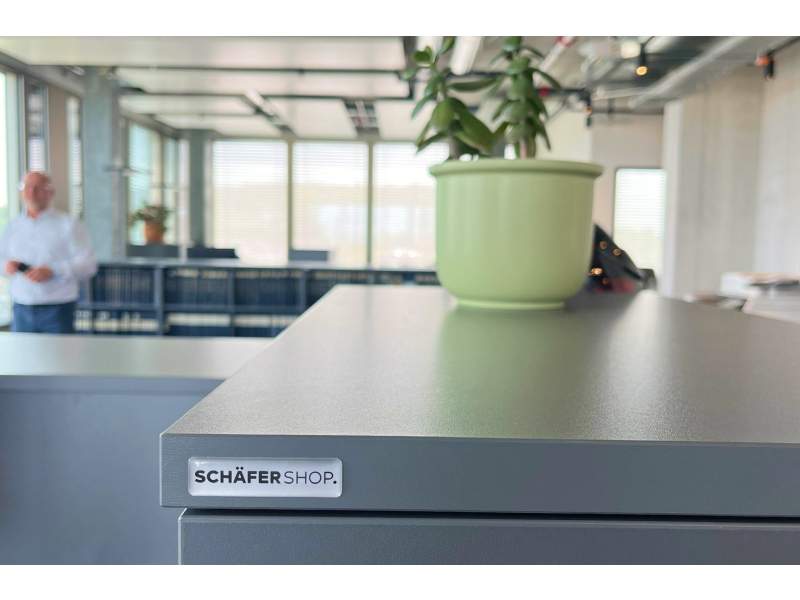 Detailaufnahme eines Schäfer Shop Stauraummöbels mit Pflanze im modernen Büro der E. Blum & Co. AG