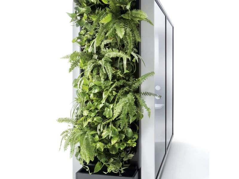 Pflanzenwand Mikomax Green Wall for hush