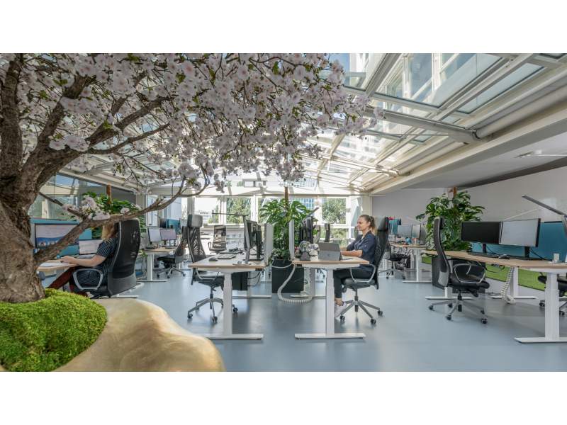 Büroplanung Vögtli Büro Design AG PSI Online