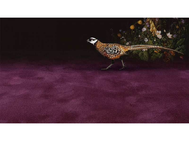 Teppichböden Teppich OBJECT CARPET Pure Wool 2600