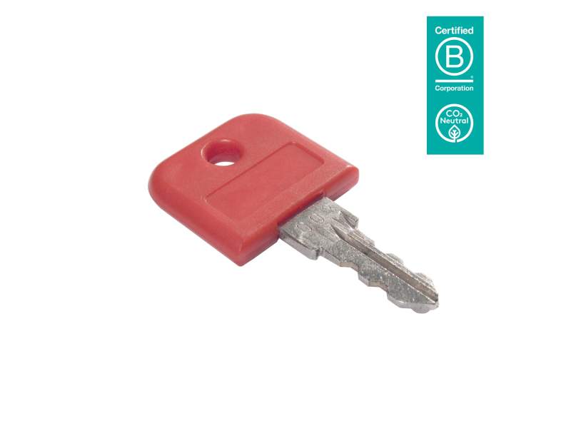 Schlüssel Dataflex Viewmate Masterschlüssel - Option 309