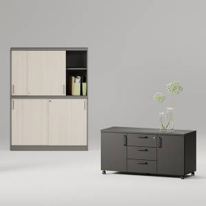 Aktenschrank Büro Aktenschränke Sideboard Staurammöbel Büroschrank Nowy Styl E10 Schränke