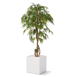 Diverse Accessoires, fm Büromöbel, easy green Ficus