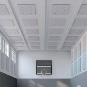 Caimi Industrial Gym Akustikpaneele in einer Sporthalle zur schallabsorbierenden Wand- und Deckenverkleidung