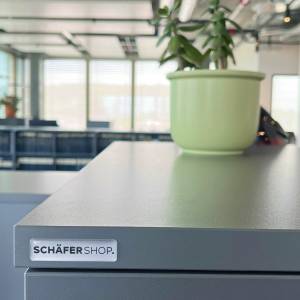 Detailaufnahme eines Schäfer Shop Stauraummöbels mit Pflanze im modernen Büro der E. Blum & Co. AG
