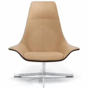 Clubsessel | Loungesessel | Loungemöbel, matteograssi, 2Leather
