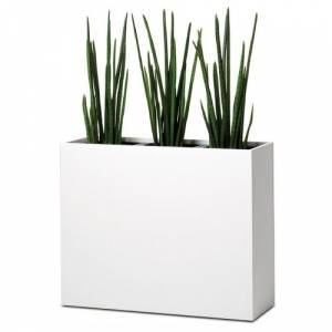 Diverse Accessoires, fm Büromöbel, Pflanzgefäße Plant