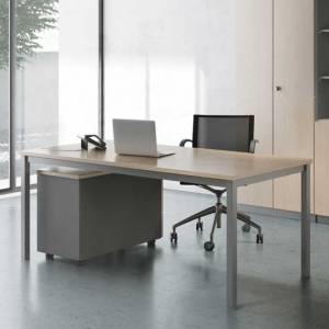 Schreibtisch Holz Schreibtische Büro Arbeitstisch Büromöbel Hund C4