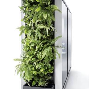 Pflanzenwand Mikomax Green Wall for hush