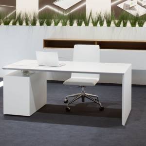 Chefschreibtisch weiss, Moderes Chefzimmer, | exklusiver Schreibtisch | Büromöbel, Hund, M-Desk