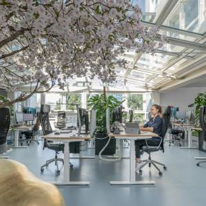Büroplanung Vögtli Büro Design AG PSI Online