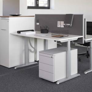 Elektrisch höhenverstellbarer Schreibtisch ergonomische Schreibtische Hund Thales Basic Steh-Sitz
Kabelwanne