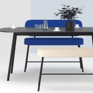 Bank Pully-Bank Cascando Pully Bench