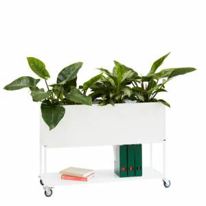 Rollregal Büro Modulare Büromöbelsysteme Embru eQ Pflanzenmodul