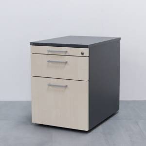 Container BWW Büro Weber LUNA Holzkorpus 964/60
