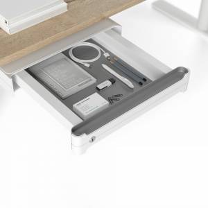 Aufbewahrungslösungen Schubladensysteme Büro Zubehör Accessoires Assmann Büromöbel Orga Work Schublade