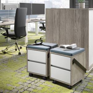 Hokcer Büro Container Palmberg ORGA•PLUS