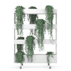 Pflanzregall fahrbar Regal fuer Pflänzen weiss Sedus se:lab mobile planter