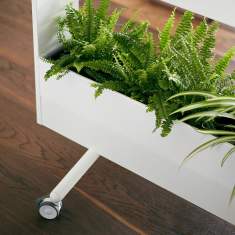Sedus se:lab mobile planter