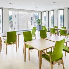 Besucherstuhl Holz Besucherstühle grün Konferenzstuhl Brunner window