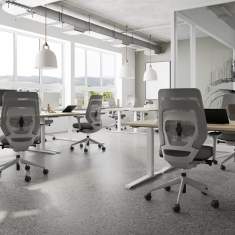 Büro Drehstuhl grau Bürostuhl Netzgewebe Drehstühle FM Büromöbel fm Asiento