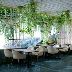 Besucherstuhl grau mit Armlehnen Besucherstühle Kunstoff Konferenzstühle Konferenzstuhl Cafeteria Stühle, Brunner, crona light