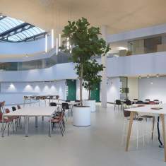 Konferenztisch Büro Konferenztische Schreibtisch Cafeteria Tisch Bene M_Com Table
rechteckige Tischplatte