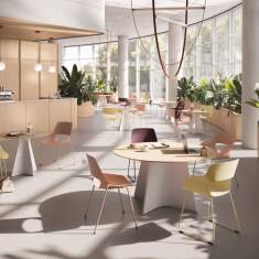 Besucherstuhl Kunststoffschale Besucherstühle Cafeteria Stuhl Konferenzstuhl Kunststoff Brunner scoop