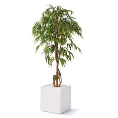 Diverse Accessoires, fm Büromöbel, easy green Ficus