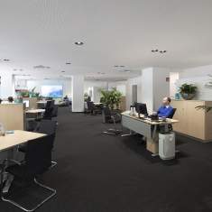 Großraumbüro der Creditplus Bank AG in Berlin mit gezielter ERCO Lichtanordnung für effiziente Arbeitsbereiche
