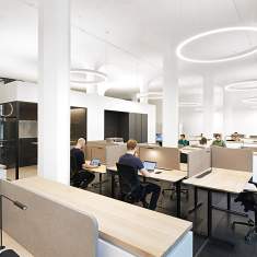 Offene Bürofläche mit höhenverstellbaren Arbeitstischen und Akustikelementen in der Arbeitswelt Sennheiser in Zürich