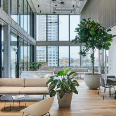 Lista Office LO TCS Bern Loungebereich mit Sofas und Sitzgelegenheiten im offenen Büro