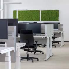 WINI WINEA SINUS Akustiksystem im Open-Space-Büro eingesetzt zur Strukturierung von Desk-Sharing-Arbeitsplätzen mit Trennwänden